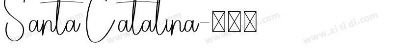 Santa Catalina字体转换